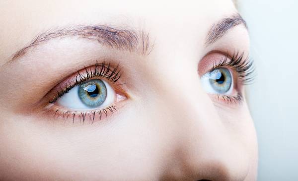 Lash artist, Vallauris, Roman Centre de Beauté